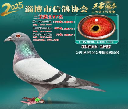 淄博鴿協(xié)普賽97名