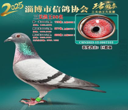 淄博鴿協(xié)普賽98名