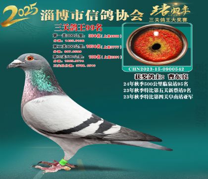 淄博鴿協(xié)普賽99名