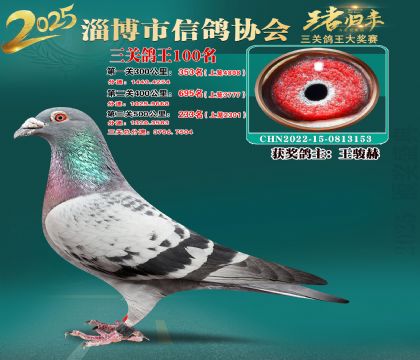 淄博鴿協(xié)普賽100名