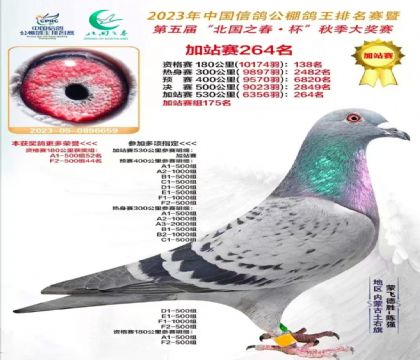 內(nèi)蒙古北國(guó)之春秋棚530公里加站賽264名 雌