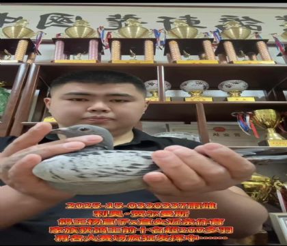保血提速/利奧賀爾曼斯楊直子X直女近親作育