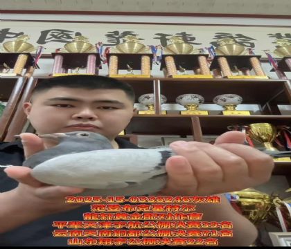 范登布克黃金對/平輩獲天津宇航公棚決賽39名