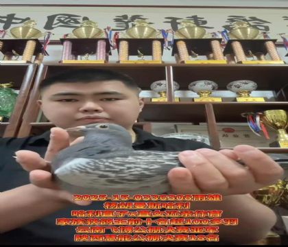楊胡曼斯哈利直子X哈利直女近親作育