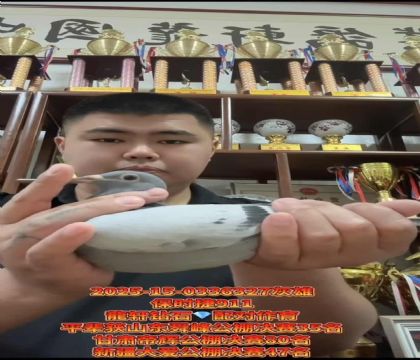 保時捷911龍軒鉆石35名配對/平輩山東舜峰公棚決賽35