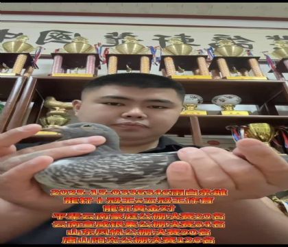 龍軒鉆石配對十冠王X五冠王作育