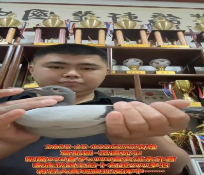 葛斯頓.范德瓦爾奶酪098直子X098直女近親作育