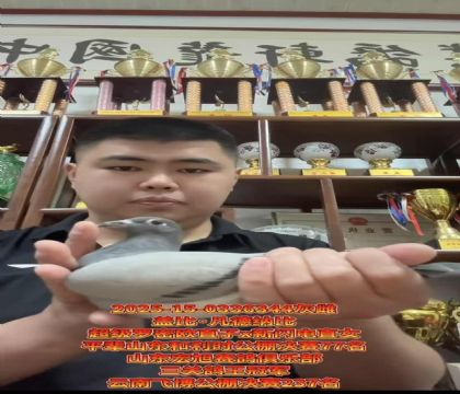 蓋比.凡德那比超級羅密歐直子X新閃電直女作育