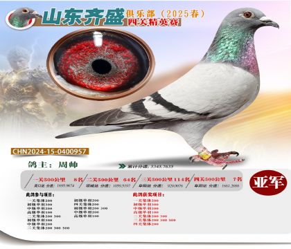 四關(guān)鴿王精英賽亞軍