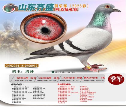四關(guān)鴿王精英賽季軍