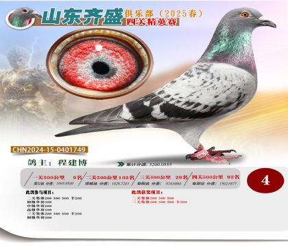 四關(guān)鴿王精英賽4名