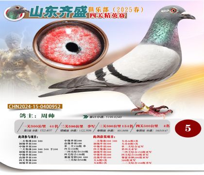 四關(guān)鴿王精英賽5名
