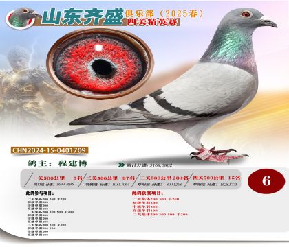 四關(guān)鴿王精英賽6名