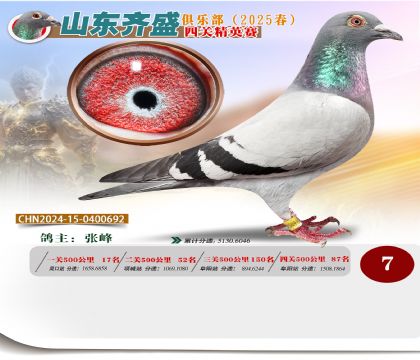四關(guān)鴿王精英賽7名