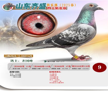 四關(guān)鴿王精英賽9名