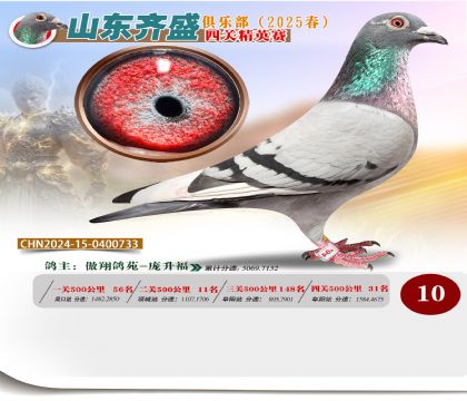 四關(guān)鴿王精英賽10名