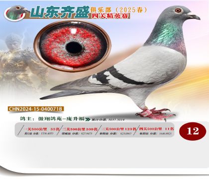 四關(guān)鴿王精英賽12名