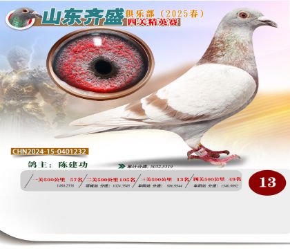 四關(guān)鴿王精英賽13名
