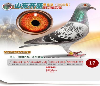 四關(guān)鴿王精英賽17名