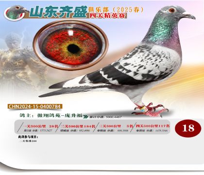 四關(guān)鴿王精英賽18名