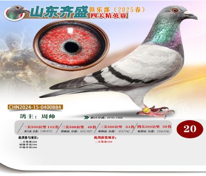 四關(guān)鴿王精英賽20名