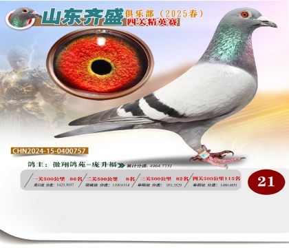 四關(guān)鴿王精英賽21名