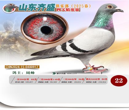 四關(guān)鴿王精英賽22名