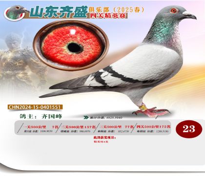 四關(guān)鴿王精英賽23名