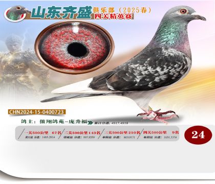 四關(guān)鴿王精英賽24名