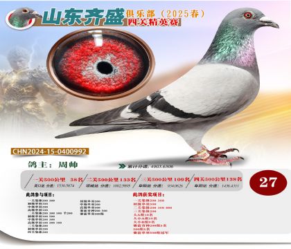 四關(guān)鴿王精英賽27名