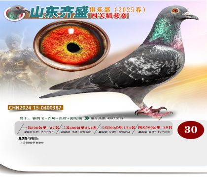 四關(guān)鴿王精英賽30名
