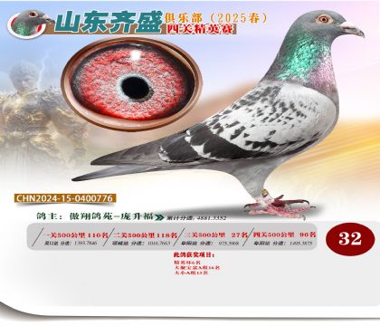 四關(guān)鴿王精英賽32名