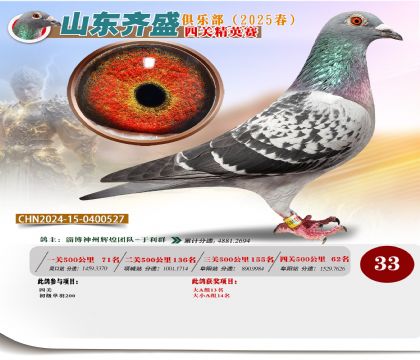 四關(guān)鴿王精英賽33名