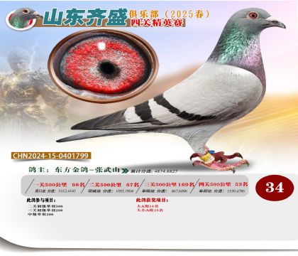四關(guān)鴿王精英賽34名