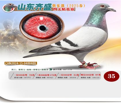 四關(guān)鴿王精英賽35名