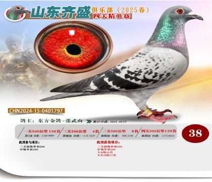 四關(guān)鴿王精英賽38名