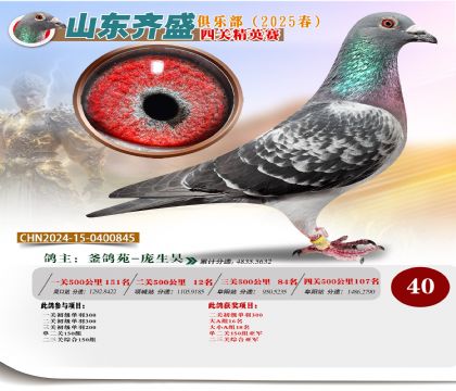 四關(guān)鴿王精英賽40名