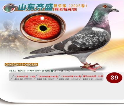 四關(guān)鴿王精英賽39名