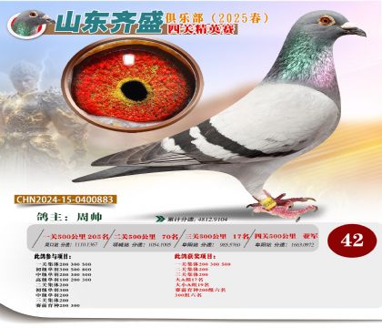 四關(guān)鴿王精英賽42名