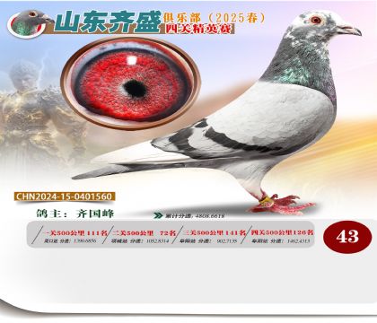 四關(guān)鴿王精英賽43名