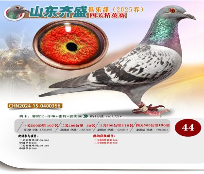 四關(guān)鴿王精英賽44名