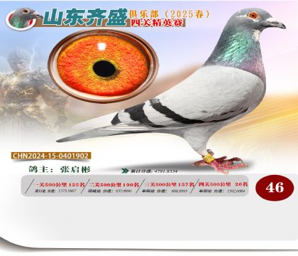 四關(guān)鴿王精英賽46名