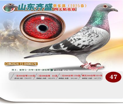四關(guān)鴿王精英賽47名