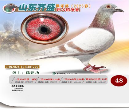 四關(guān)鴿王精英賽48名