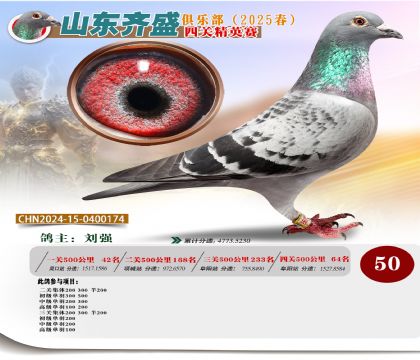 四關(guān)鴿王精英賽50名