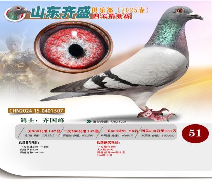 四關(guān)鴿王精英賽51名