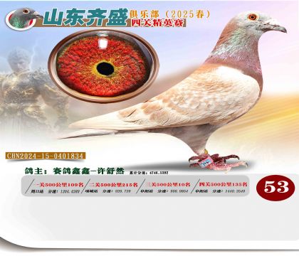 四關(guān)鴿王精英賽53名