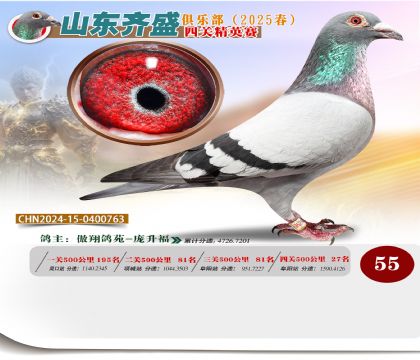 四關(guān)鴿王精英賽55名