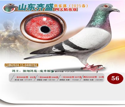 四關(guān)鴿王精英賽56名