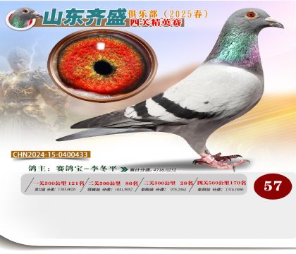 四關(guān)鴿王精英賽57名
